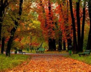深秋不仅可以赏美景，还可以做养生
