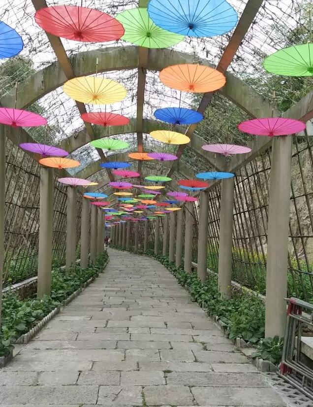五颜六色的雨伞